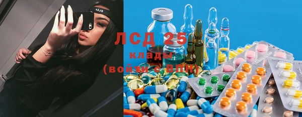 мескалин Михайлов