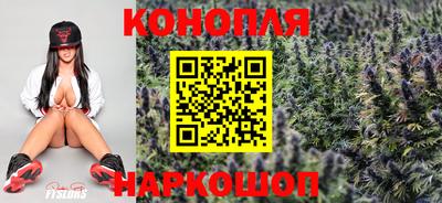 мяу мяу мука Гуково