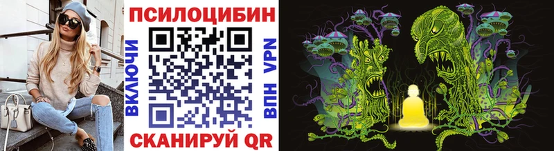 Галлюциногенные грибы Psilocybe  Купить закладки  Петровск 