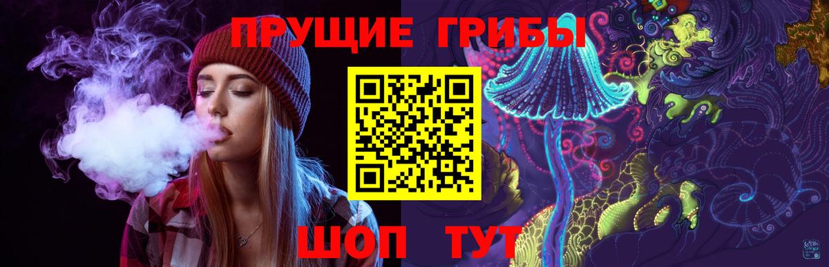 Галлюциногенные грибы Psilocybe  Петровск  Псилоцибиновые грибы ЛСД 